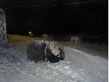 Picture of Spot 2