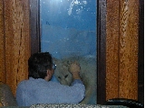 I want in!