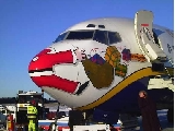 Polar mishap